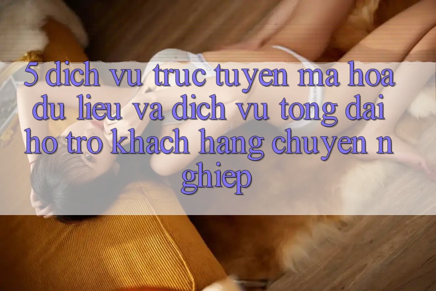 5. Dịch vụ trực tuyến Mã hóa dữ liệu Và Dịch Vụ Tổng đài hỗ trợ Khách Hàng Chuyên Nghiệp 5. Dịch vụ trực tuyến Mã hóa dữ liệu Và Dịch Vụ Tổng đài hỗ trợ Khách Hàng Chuyên Nghiệp