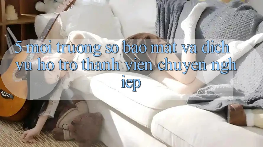 5. Môi trường số Bảo Mật Và Dịch Vụ Hỗ trợ Thành viên Chuyên nghiệp 5. Môi trường số Bảo Mật Và Dịch Vụ Hỗ trợ Thành viên Chuyên nghiệp