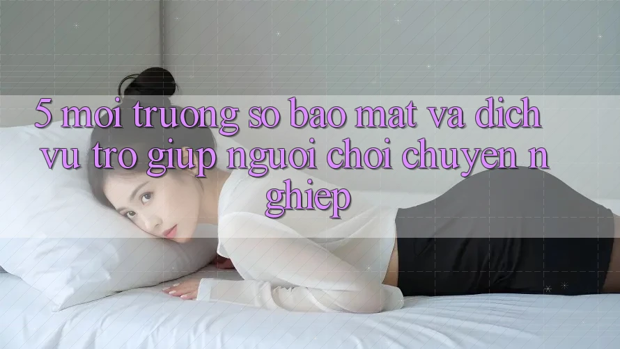 5. Môi trường số Bảo Mật Và Dịch Vụ Trợ giúp Người chơi Chuyên Nghiệp