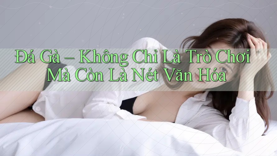 Đá Gà – Không Chỉ Là Trò Chơi, Mà Còn Là Nét Văn Hóa Đá Gà – Không Chỉ Là Trò Chơi, Mà Còn Là Nét Văn Hóa