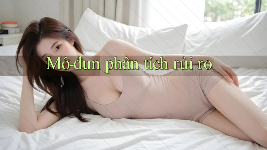 Mô-đun phân tích rủi ro