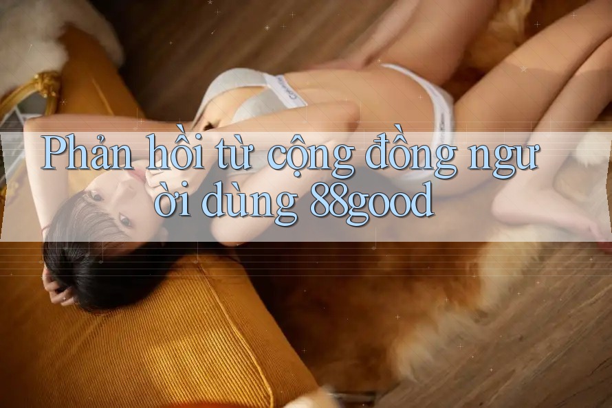 Phản hồi từ cộng đồng người dùng 88good Phản hồi từ cộng đồng người dùng 88good