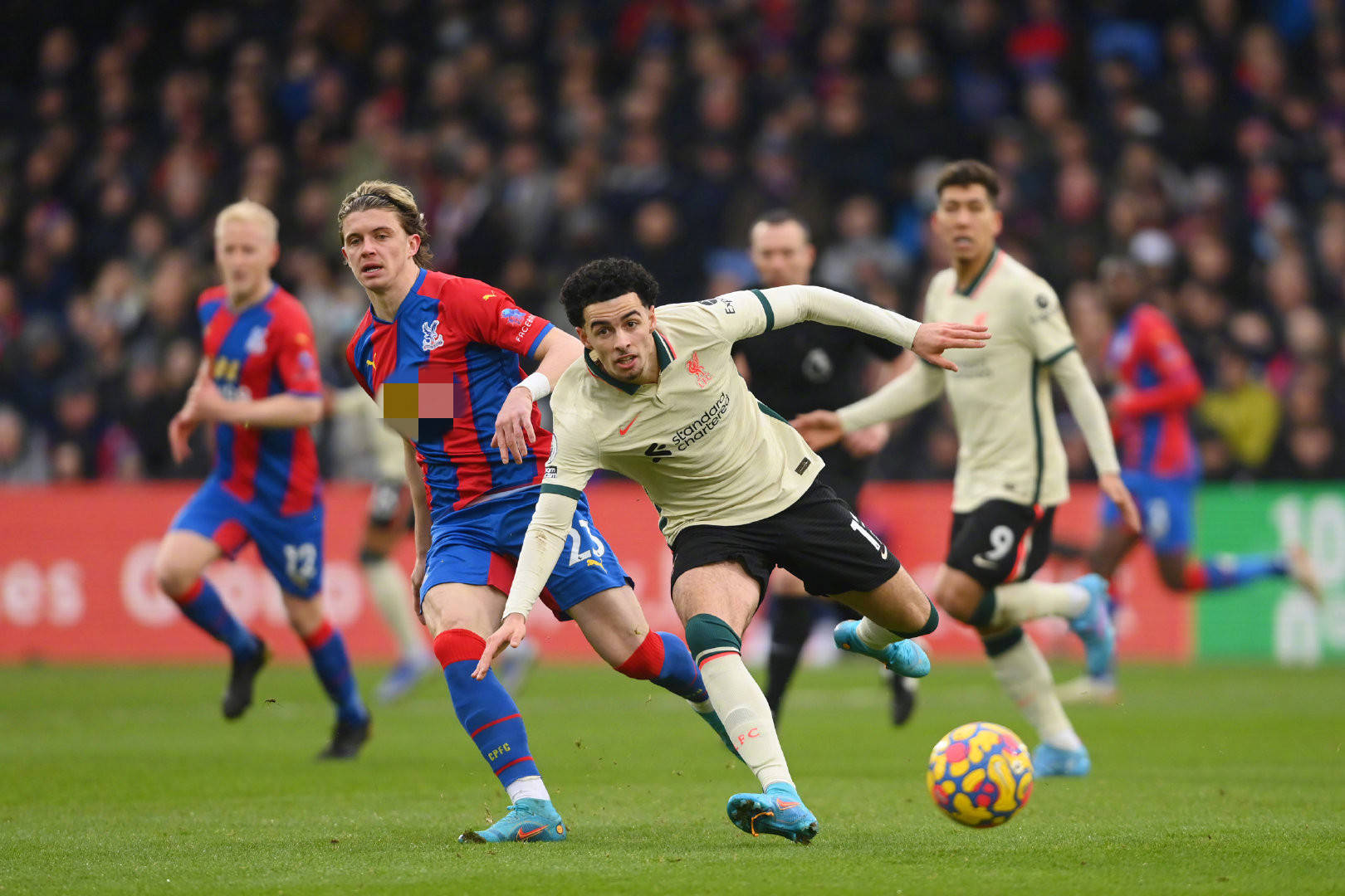 被出示了两 被出示了两